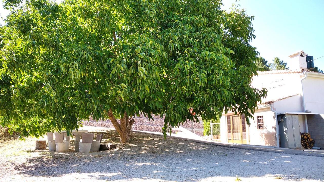 הוילה Riópar Venta De La Casa Noguera מראה חיצוני תמונה